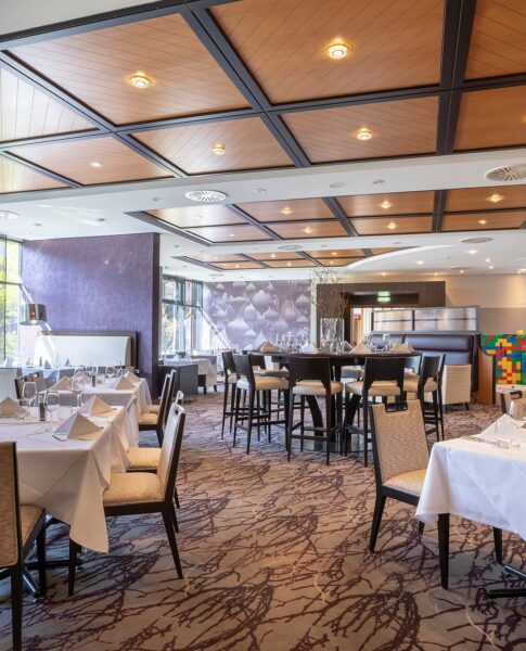 Stühle im Restaurant des elaya hotel frankfurt oberursel