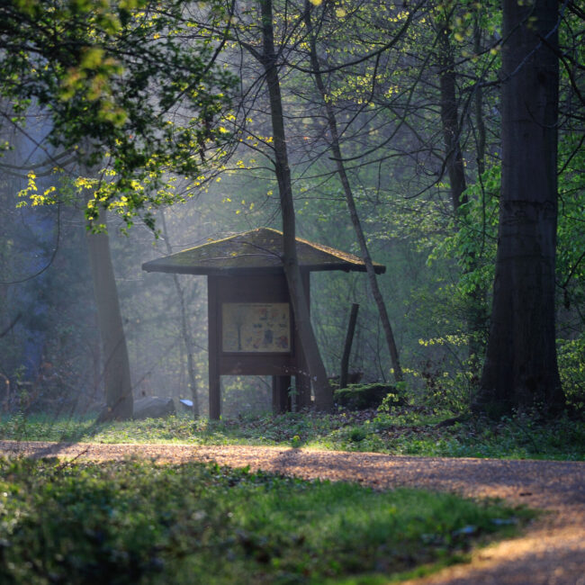 Eine Informationstafel auf dem Löwe-Pfad