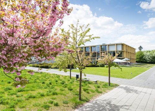 Die Außenansicht des rugs Hotel am Schlosspark Lichtenwalde