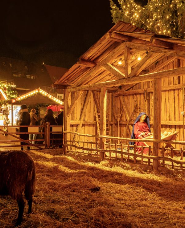 Eine Grippe auf dem Weihnachtsmarkt in Ulm