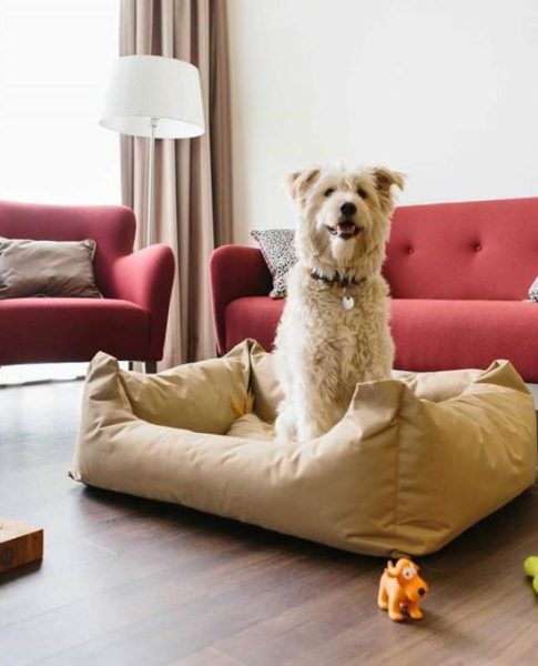 Ein Hundebett im Wohnbereich der Suite im Chester Hotel Heidelberg